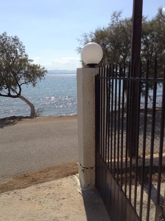 Villa Vlichos อมารินโธส ภายนอก รูปภาพ