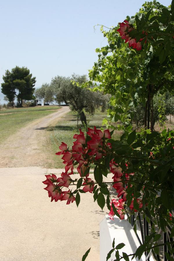 Villa Vlichos อมารินโธส ภายนอก รูปภาพ