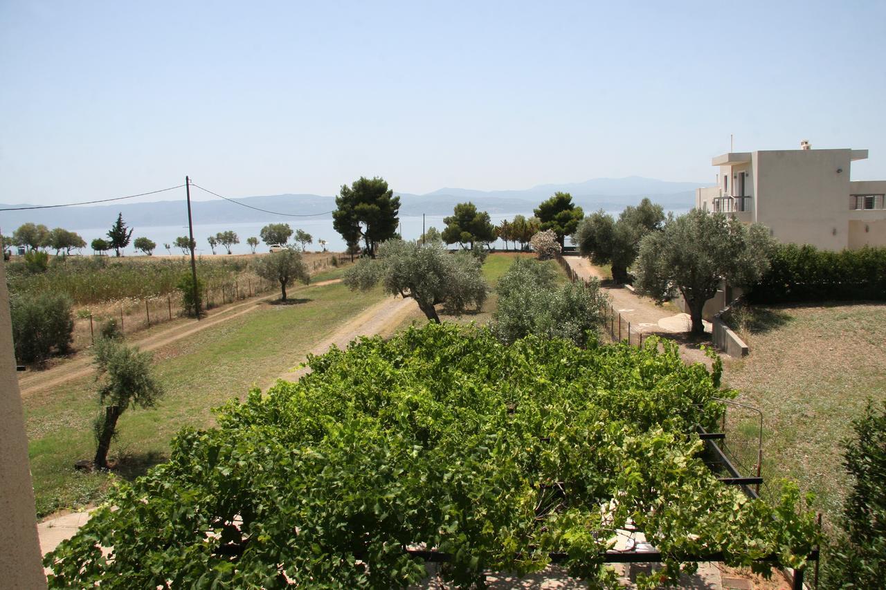 Villa Vlichos อมารินโธส ภายนอก รูปภาพ