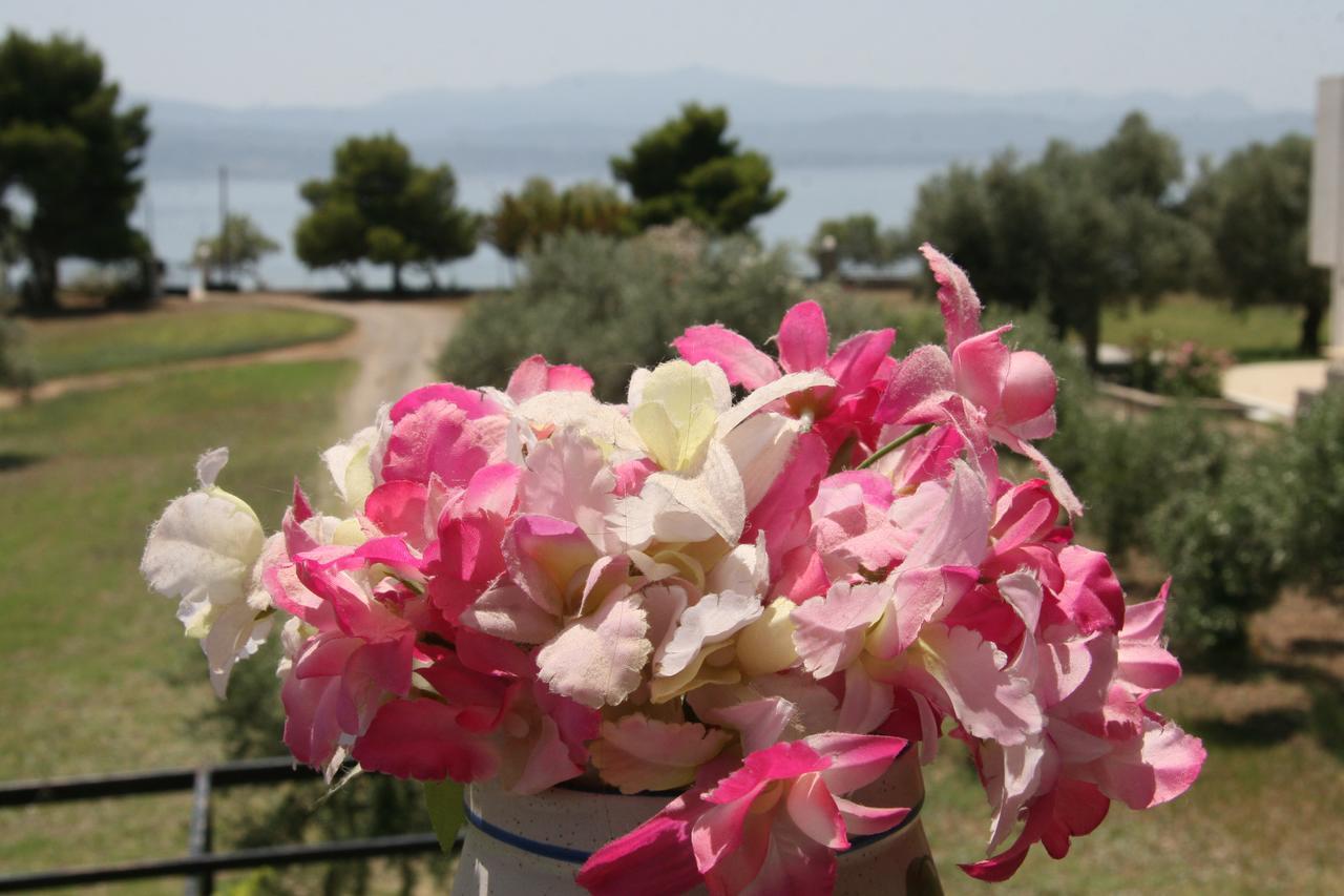 Villa Vlichos อมารินโธส ภายนอก รูปภาพ
