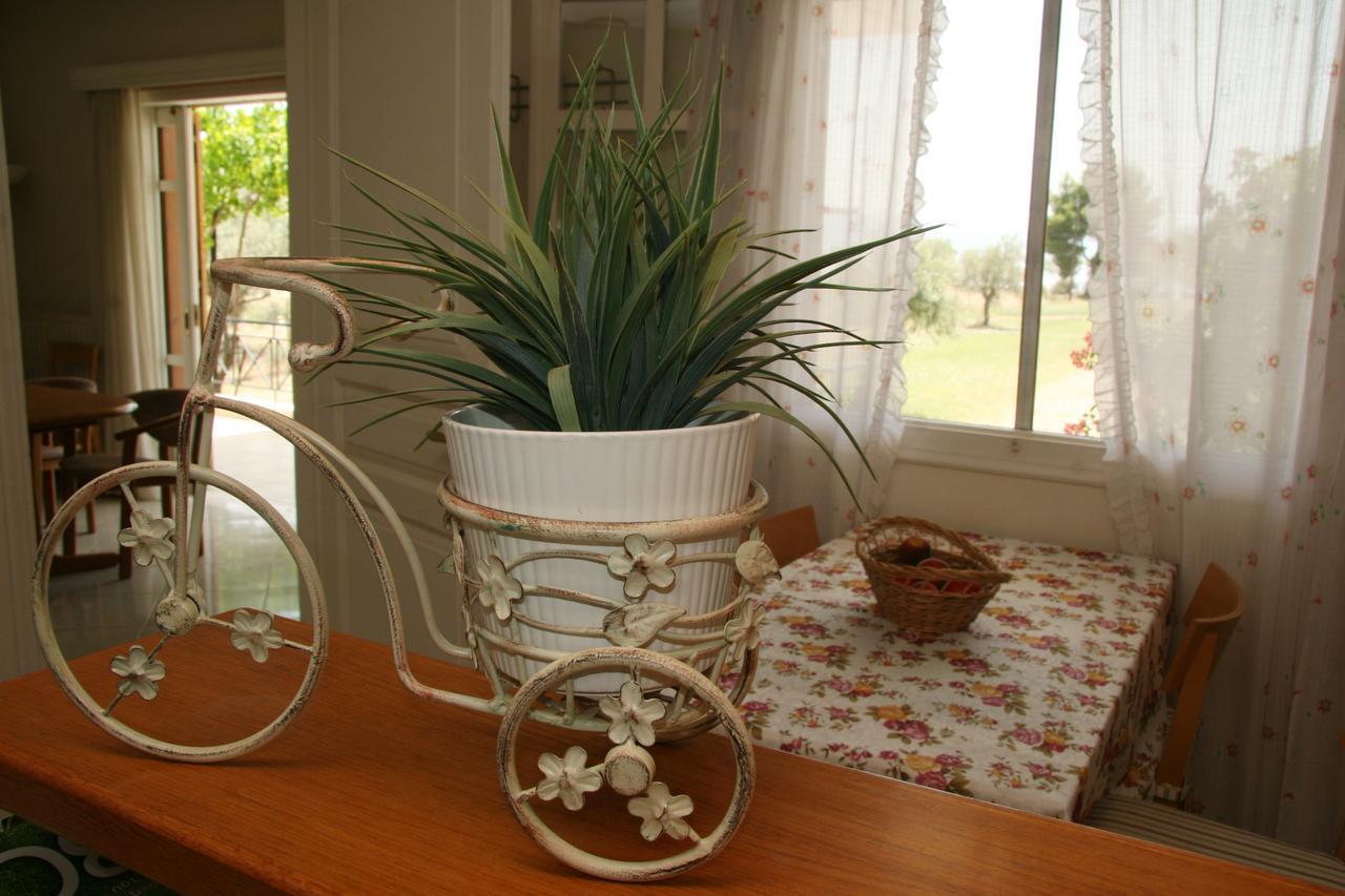 Villa Vlichos อมารินโธส ภายนอก รูปภาพ